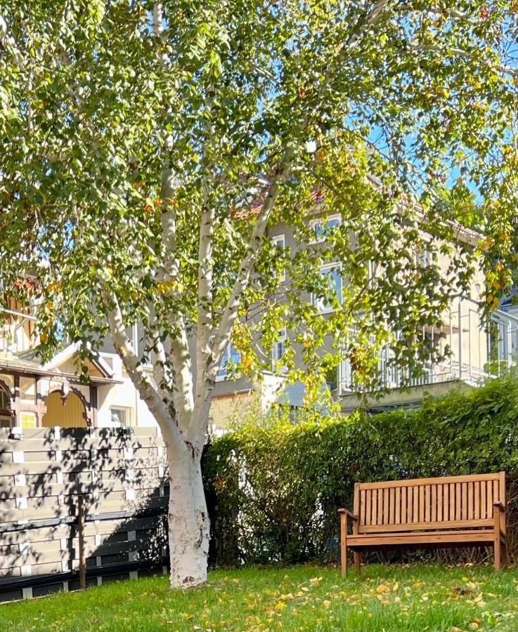 Traumfewo Palais #Innenstadt #Garten #Netflix Von Harztraveler Wernigerode Eksteriør billede