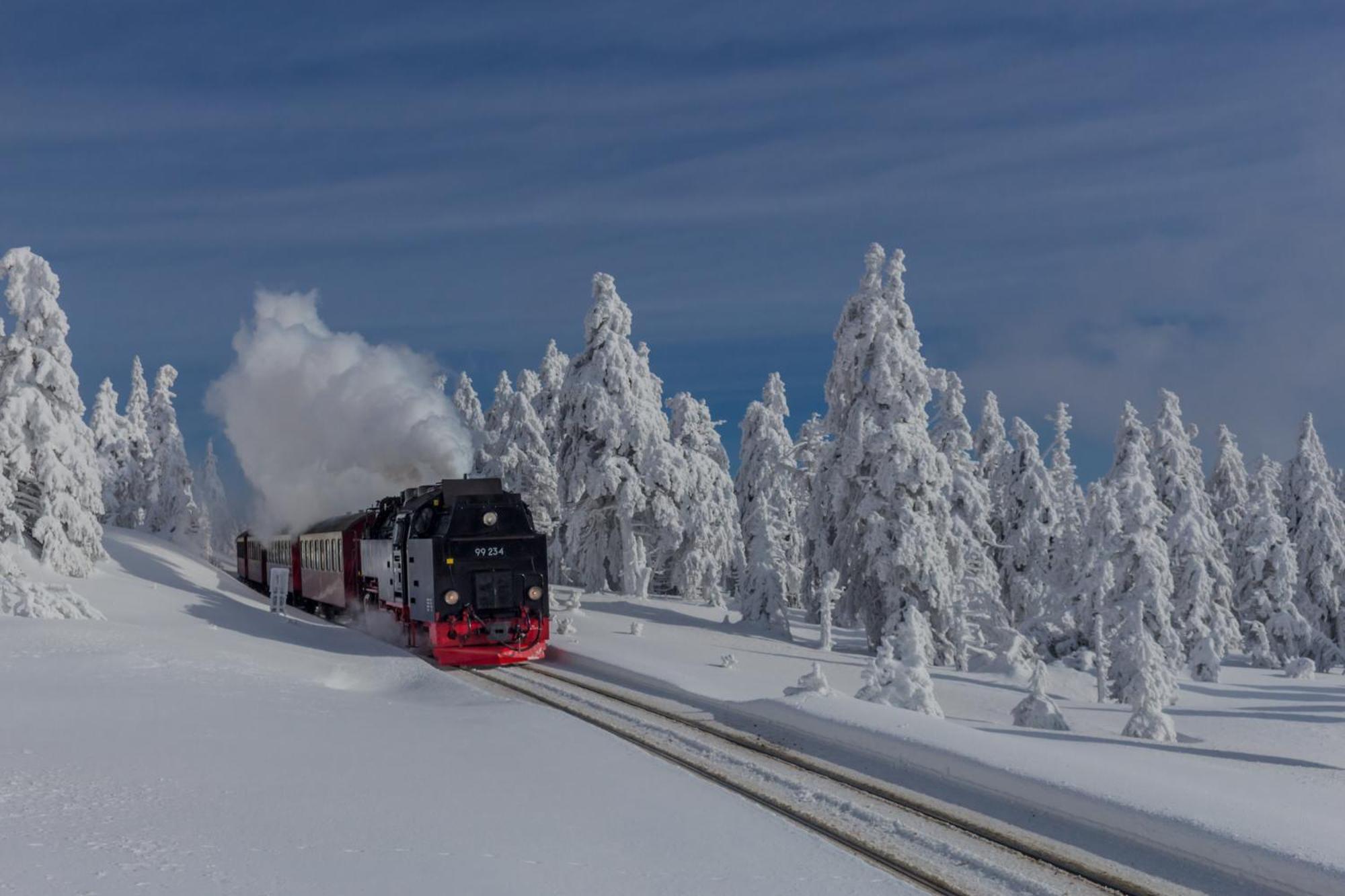 Traumfewo Palais #Innenstadt #Garten #Netflix Von Harztraveler Wernigerode Eksteriør billede