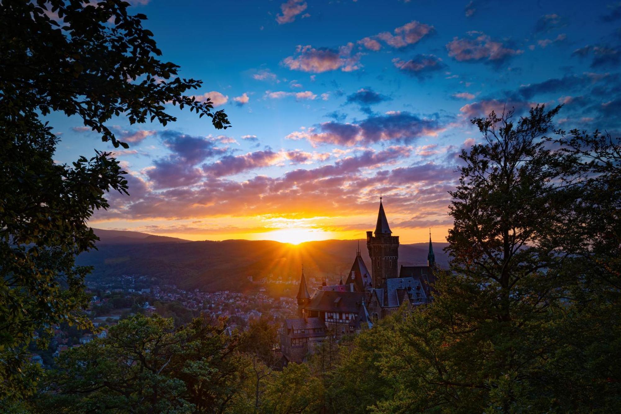 Traumfewo Palais #Innenstadt #Garten #Netflix Von Harztraveler Wernigerode Eksteriør billede